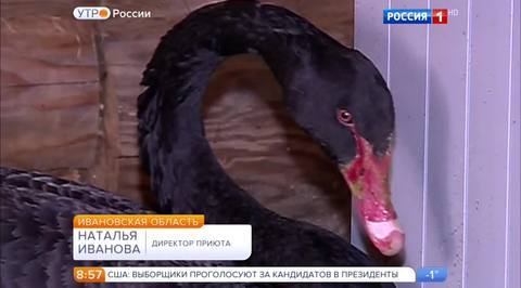 Эфир от 19.12.2016
