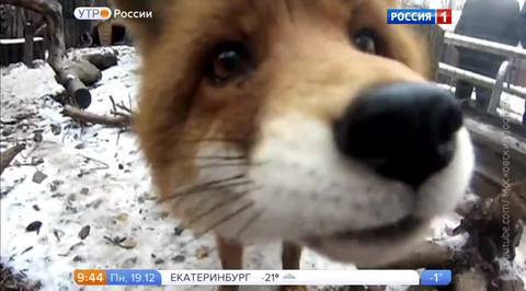 Эфир от 19.12.2016