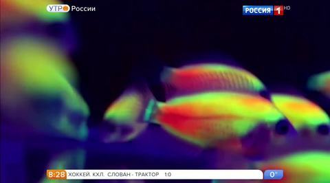 Эфир от 22.12.2016