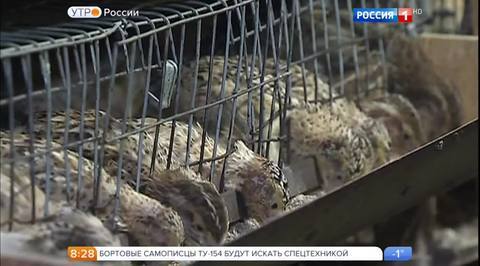 Эфир от 26.12.2016
