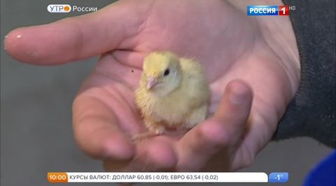 Эфир от 26.12.2016