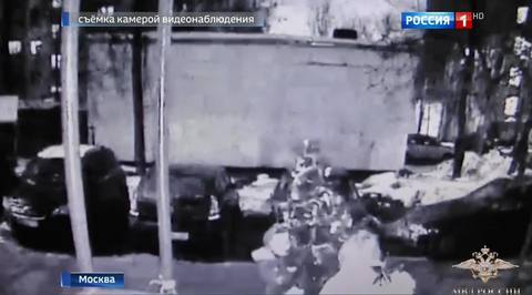Москвичка оказалась под следствием за кражу новогодней елки