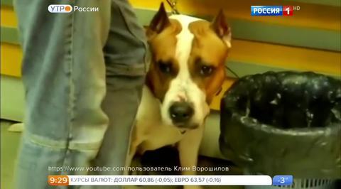Эфир от 28.12.2016