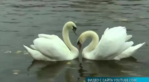 Эфир от 14.02.2017 (19:30)
