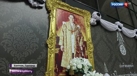 Губернатор Васильев наведет порядок в кировском лесу