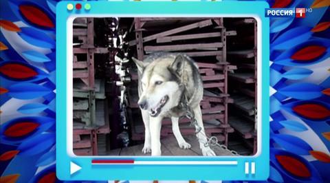 Эфир от 13.05.2017
