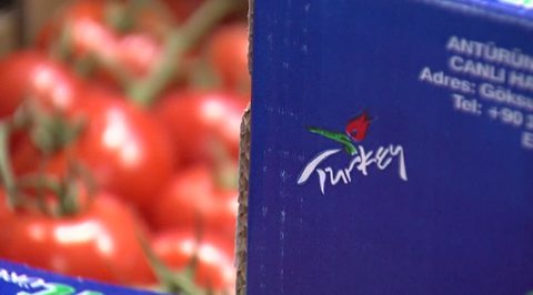 Турецким овощам откроют доступ к российским прилавкам