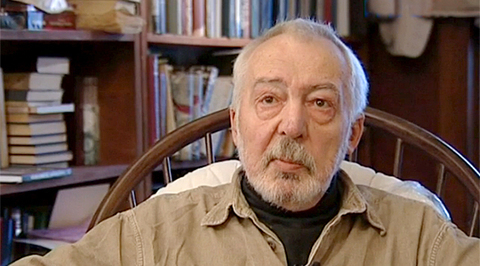 Ленинградский роман