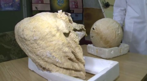 Эфир от 09.06.2017 (19:30)