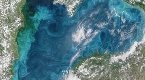 Черное море стало бирюзовым