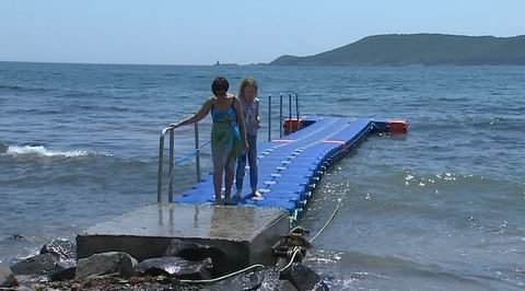 Жители Владивостока опасаются стать обедом для акул