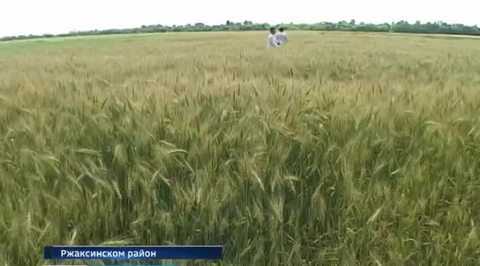 Эфир – 30.07.2017