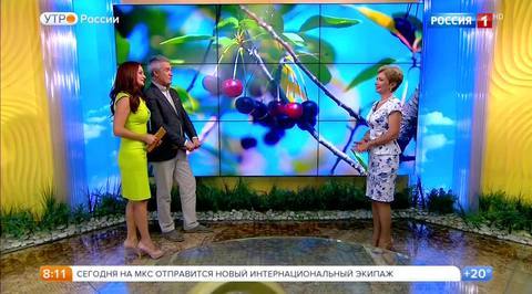 Эфир от 28.07.2017