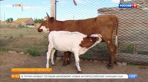 Эфир от 28.07.2017