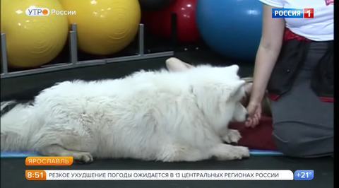 Эфир от 01.08.2017
