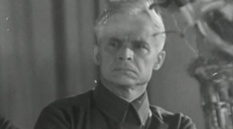 Довженко. Жизнь в цвету