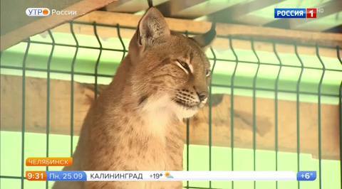 Эфир от 25.09.2017