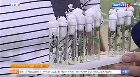 Эфир от 26.09.2017