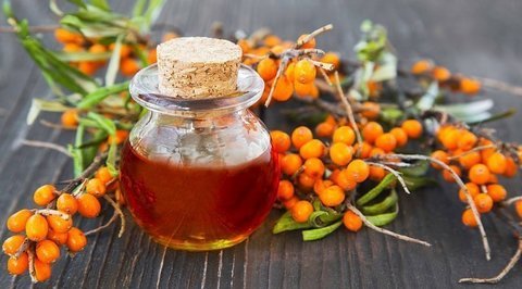 Не только для иммунитета: волшебные свойства облепихи