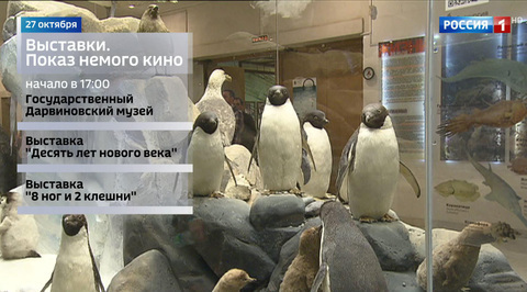 Юбилей Дарвиновского музея, конная выставка и фестиваль мультфильмов: куда пойти в выходные?