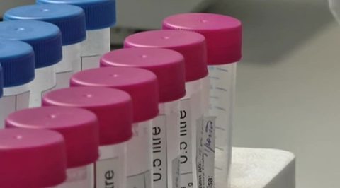 RF Investigative Committee Finds That WADA Doping Accusations Were Based on Fake Evidence and Demands the Mole  Extradition