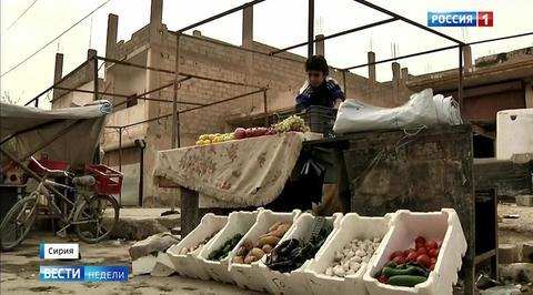 Direct From Syria: Watch How Sappers, Dogs, Robots Bring the Country Back To Normal Life