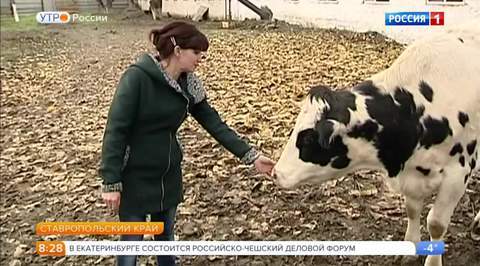 Эфир от 24.11.2017