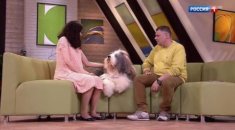 Эфир от 25.11.2017