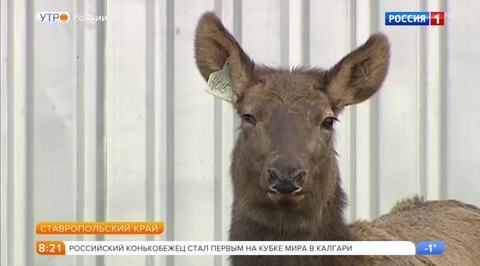Эфир от 04.12.2017