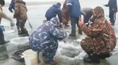 Браконьеры ловят редкую рыбу в промышленных масштабах