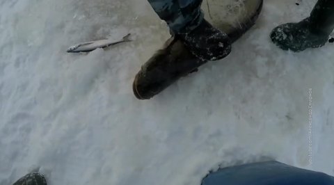 Браконьеры идут на преступления в дорогом обмундировании