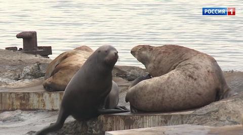 The Vacation Holy Trinity: Russia’s Crimea, Kamchatka and Baikal Regions