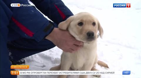 Эфир от 15.12.2017