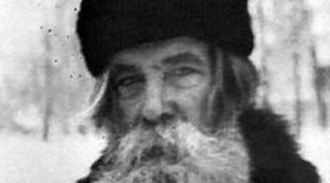 115-я неделя войны
