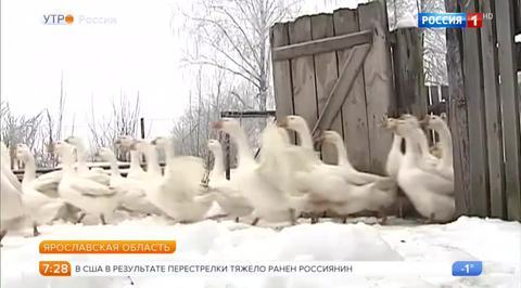 Эфир от 21.12.2017