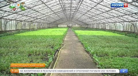Эфир от 26.12.2017
