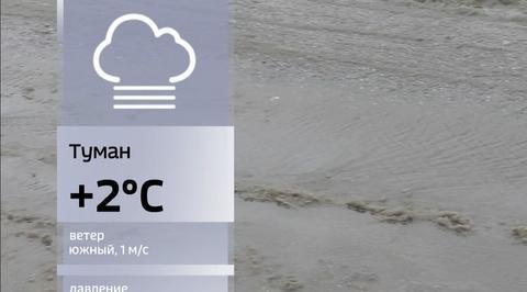 Москва оказалась во власти аномального потепления