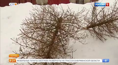 Эфир от 16.01.2018