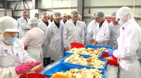 На Сахалине строят тепличный комплекс площадью 3,5 гектара