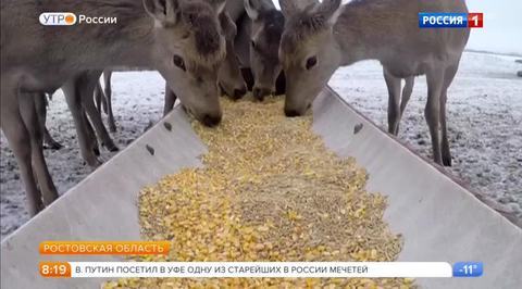 Эфир от 25.01.2018