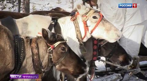 Акция "Россия в моем сердце" объединила страну