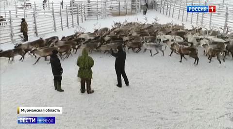 Sami National Day Celebrates the Unique Heritage of the Polar Peoples Living in Russia