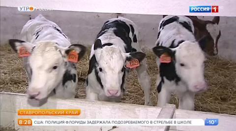 Эфир от 15.02.2018