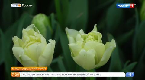Эфир от 21.02.2018