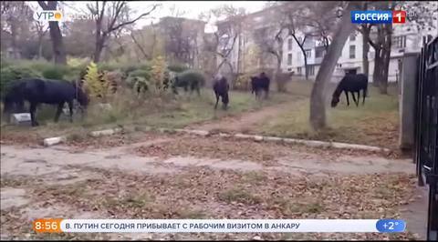 Эфир от 03.04.2018