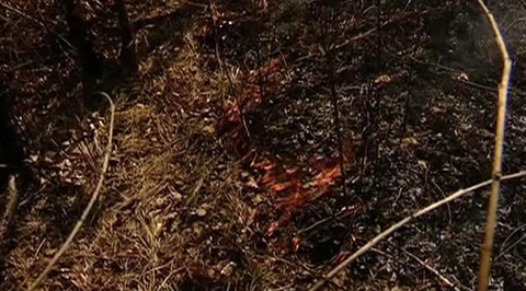 Особый противопожарный режим введен в пяти районах Приморья
