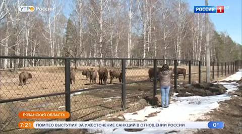 Эфир от 13.04.2018