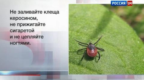 Эфир от 02.06.2012