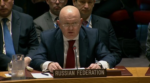 Небензя: стыдно, что бомбежку Сирии обосновали статьей Конституции США