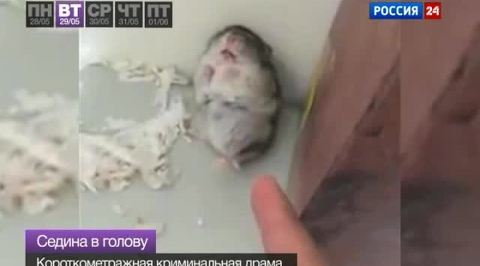 Эфир от 03.06.2012